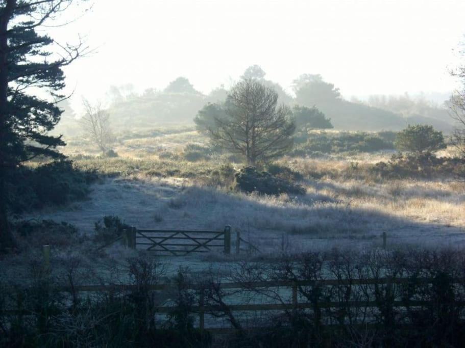 Home In Dorset, Near Jurassic Coast And Arne Wareham Esterno foto