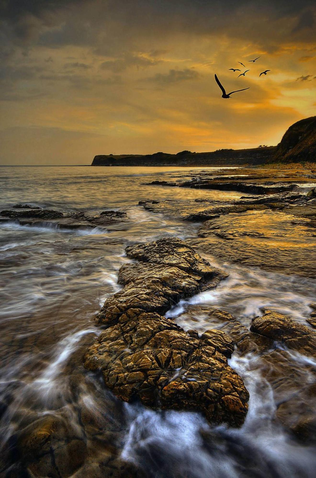 Home In Dorset, Near Jurassic Coast And Arne Wareham Esterno foto